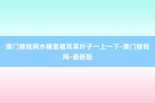澳門賭錢網水桶里豬耳菜葉子一上一下-澳門賭錢網-最新版